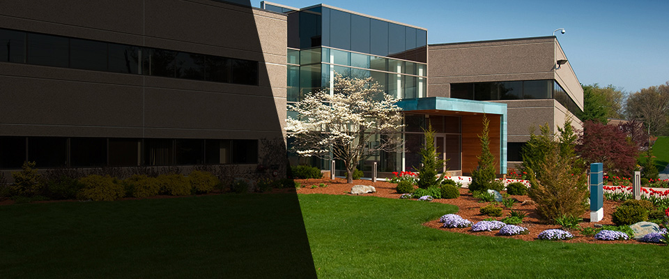 Cortland Landscapers