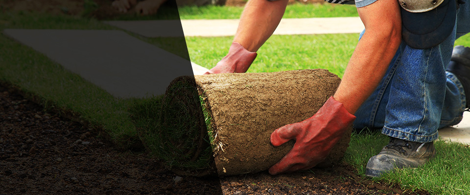 Cortland Landscapers